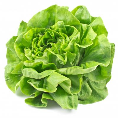 SALADE POMMEE VERTE (Bac de 6)
