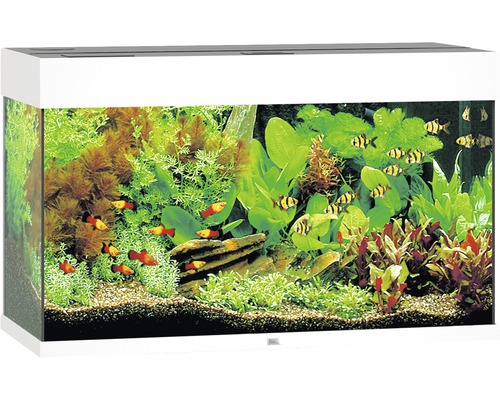Juwel aquarium Rio 125 blanc LED