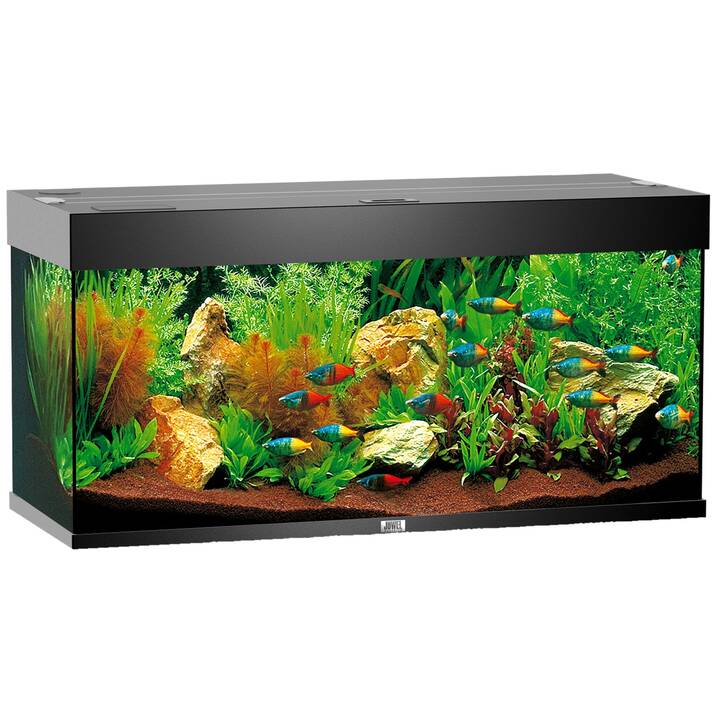 Juwel Aquarium Rio 180 noir LED