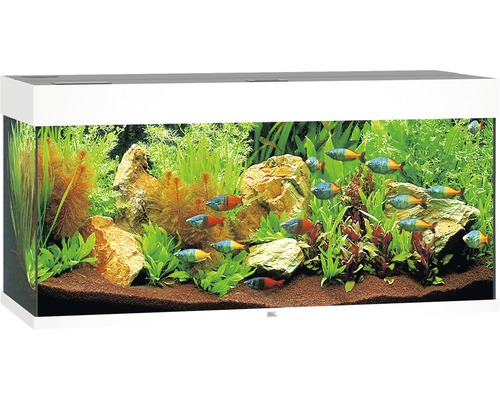 Juwel Aquarium Rio 180  blanc Led