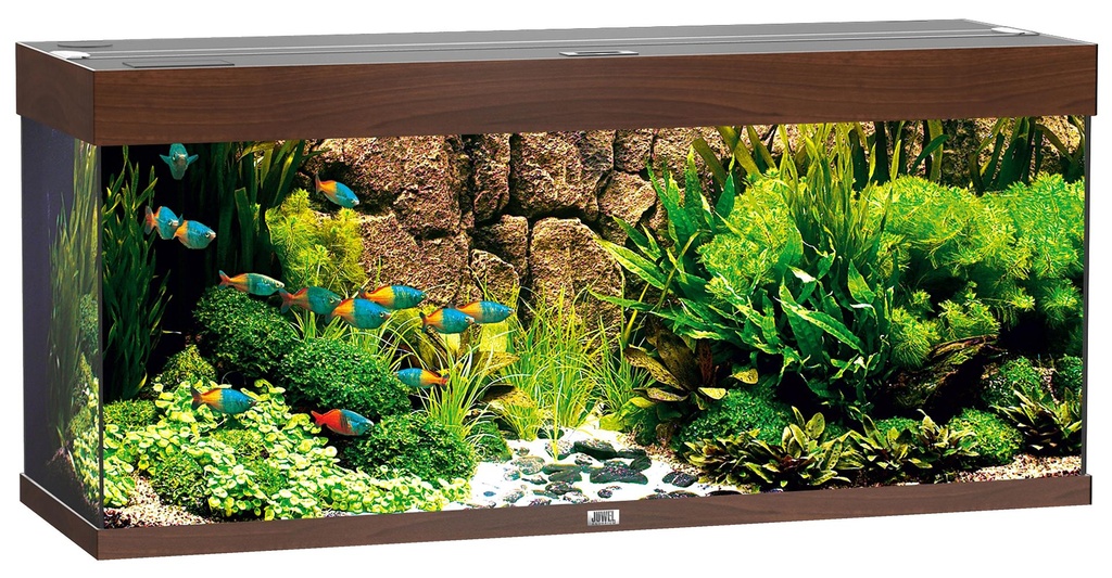 Juwel Aquarium Rio 240 brun foncé LED