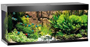 Juwel Aquarium Rio 240 noir LED