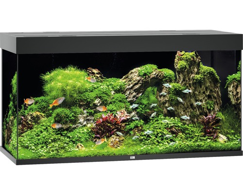Juwel Aquarium Rio 350 noir LED