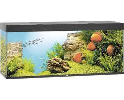 Juwel Aquarium Rio 450 noir LED
