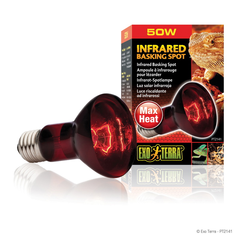 Heatglo lampe infrarouge chauffante 50w