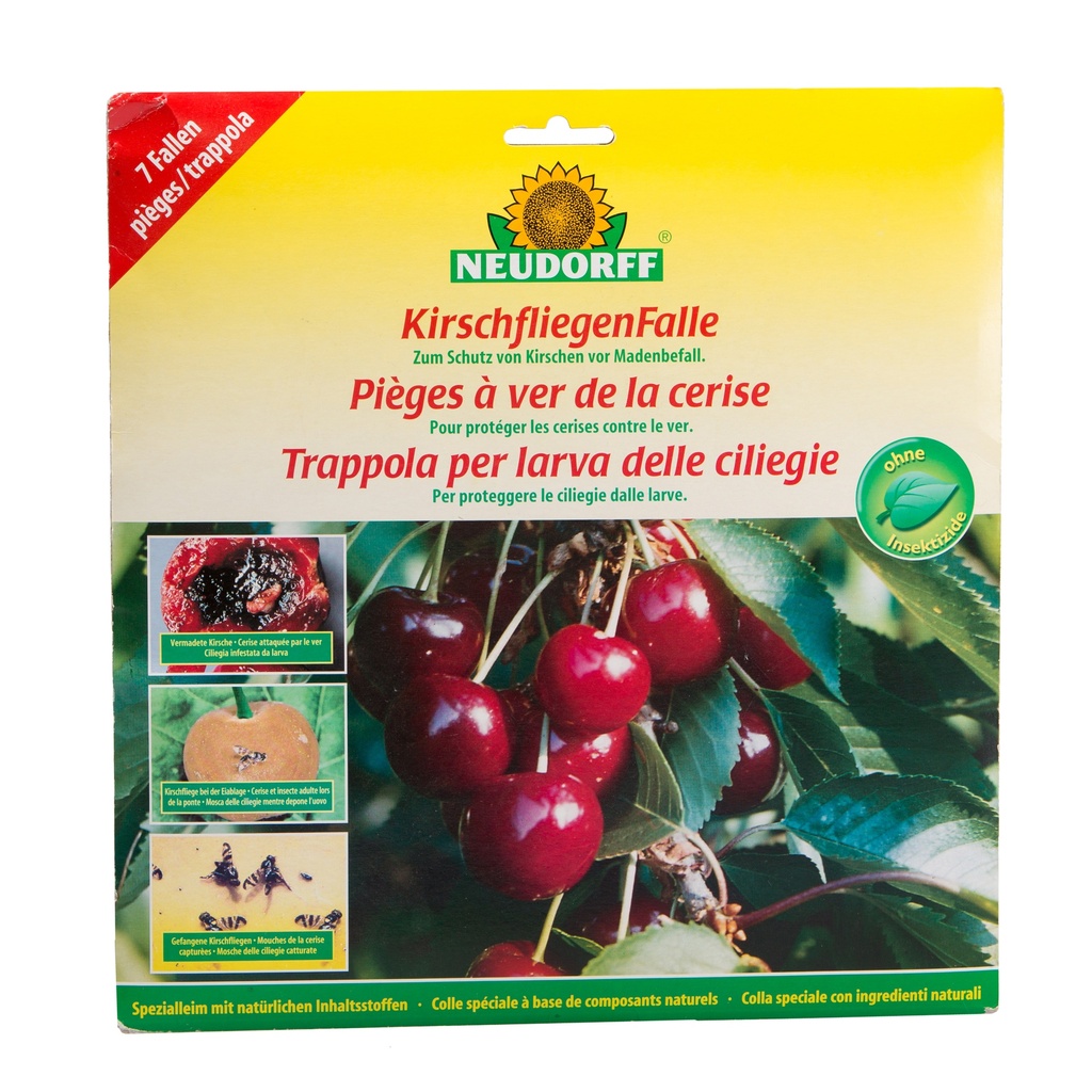 Pièges à mouches du cerisier