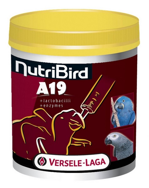 Nutribird A19 patée d'elevage 800g