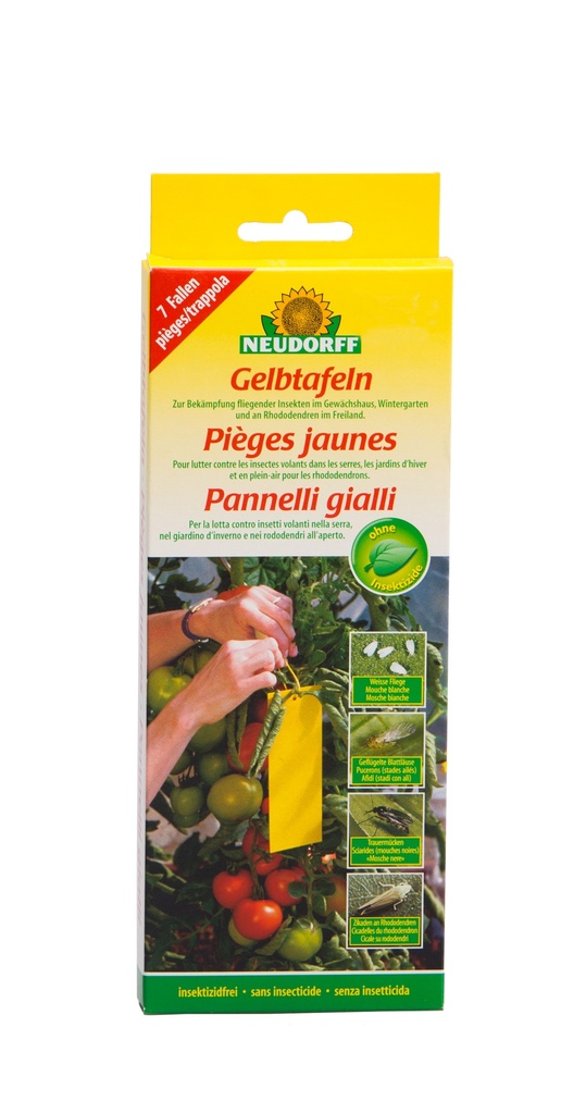 Pièges jaunes hobby