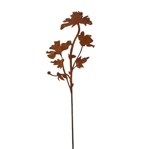 Cosmos Saremo