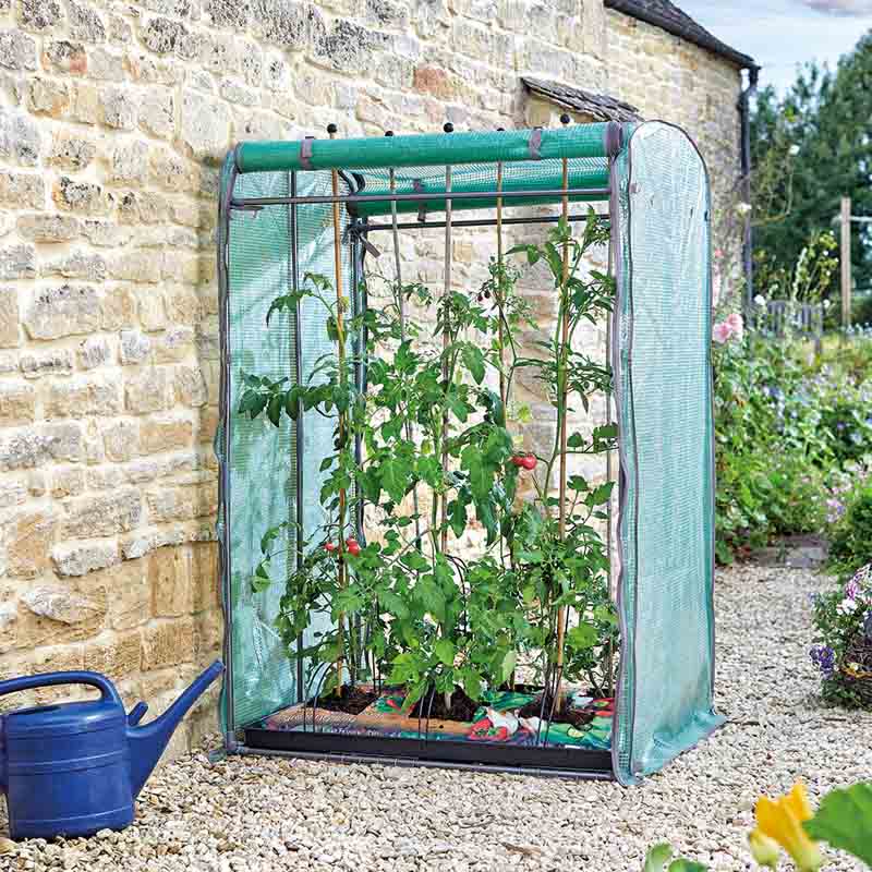 Serre Tomato GroZone Max - Double Sided