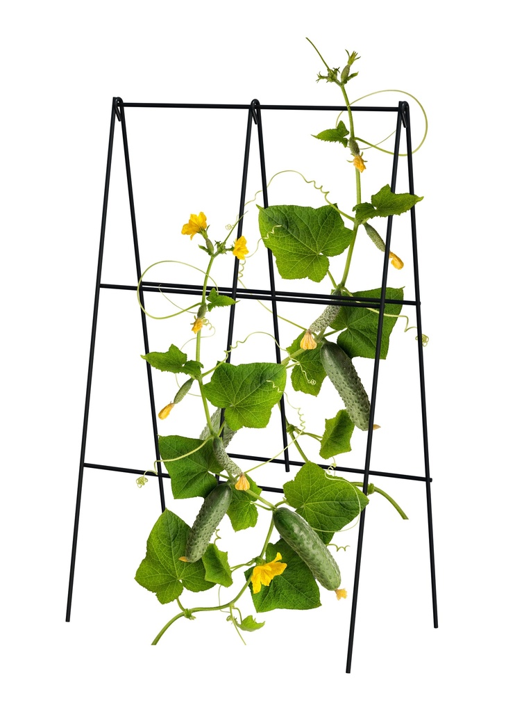 Treillis pour Haricots et concombre pliant en A