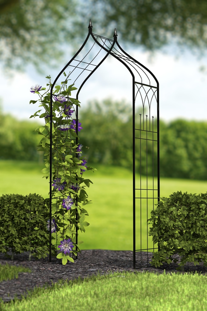 Tonnelle de jardin Ogee Top avec embouts, noir