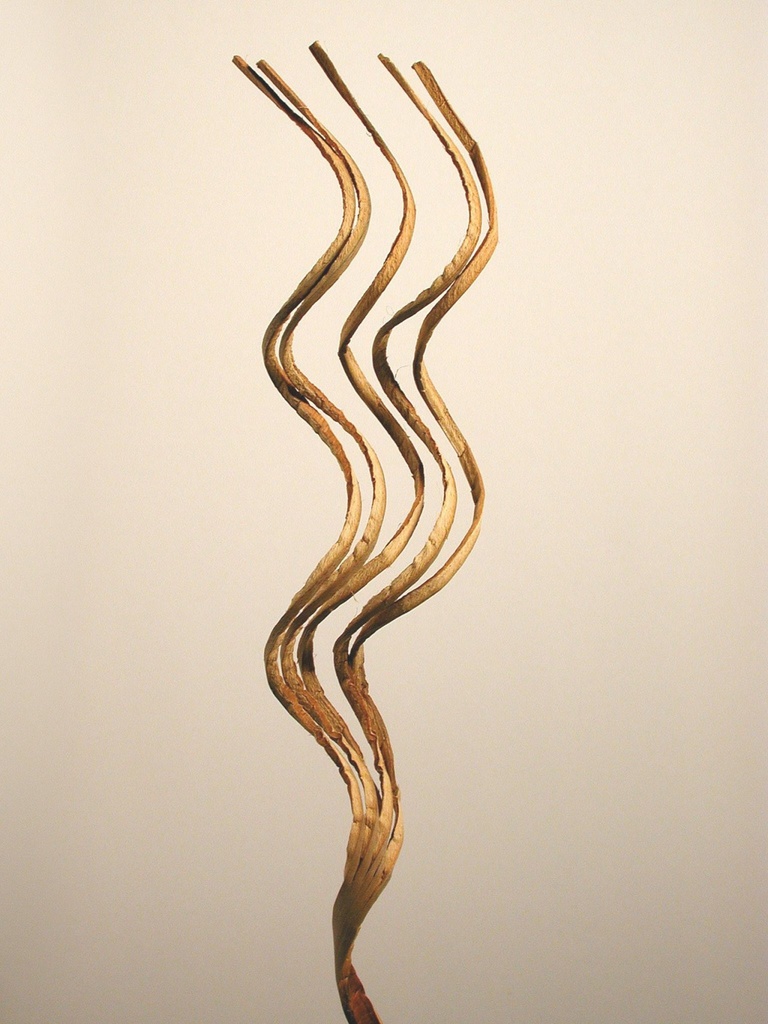 Coco curly