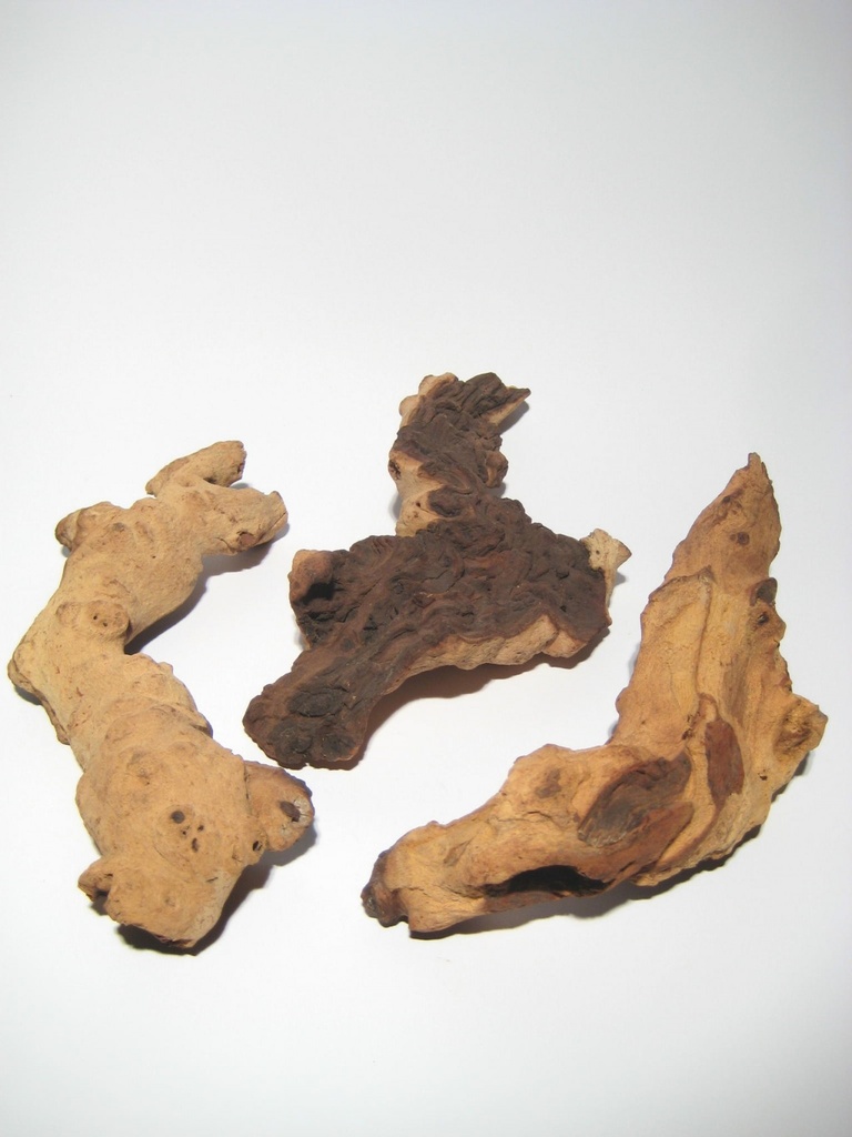 Driftwood