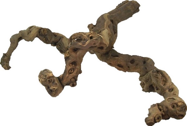 Bois pour terrarium 40-50 cm