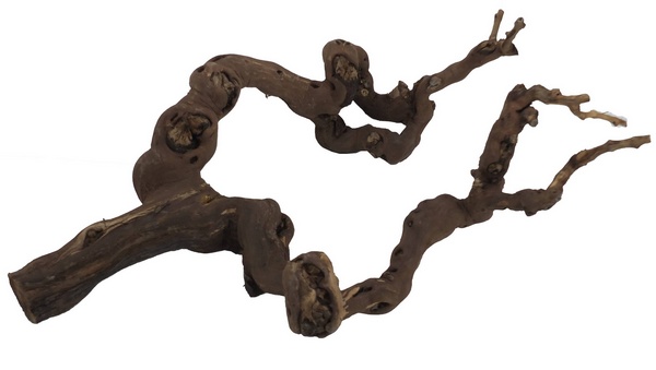 Bois pour terrarium 50-70 cm
