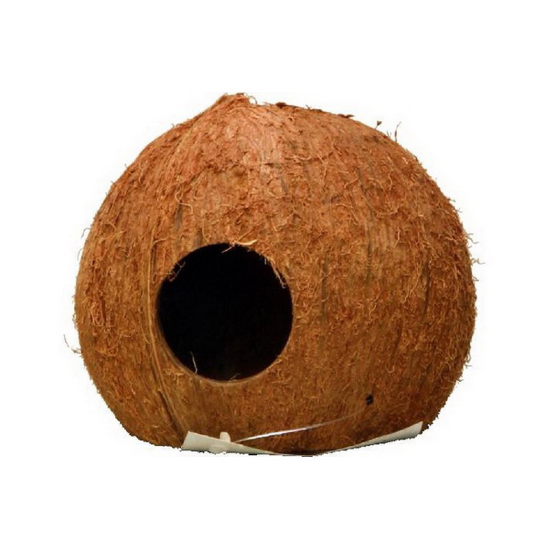 Demi noix de coco pour aquarium, hamster, reptiles