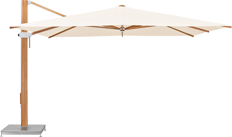 Aura Cat 5 Mât bois d'eucalyptus sans volant