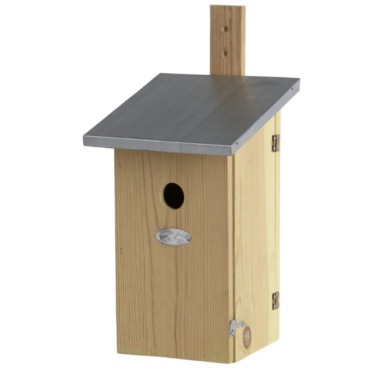 Nichoir observatoire