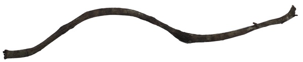Liane longueur ca. 100 cm