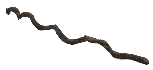 Liane longueur ca. 200 cm