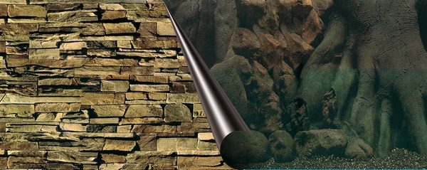 Poster fond d'aquariumTree? 120x50cm