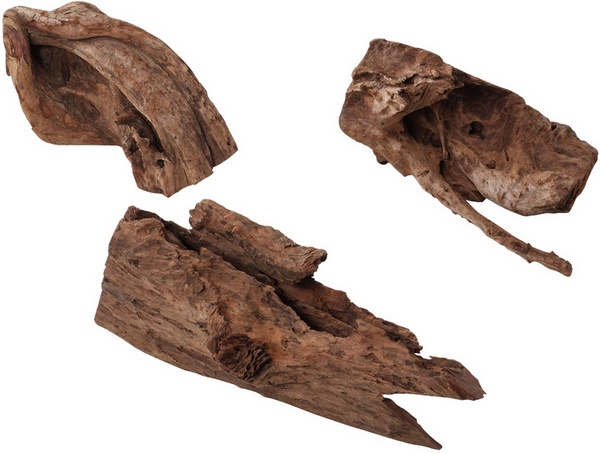 Décor bois flottant Jati ca. 450-600 mm