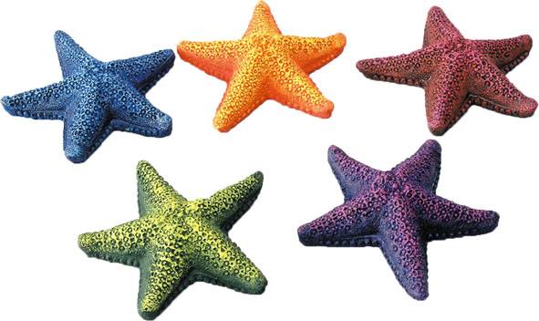Décor Etoiles de mer  StarFish . 85mm