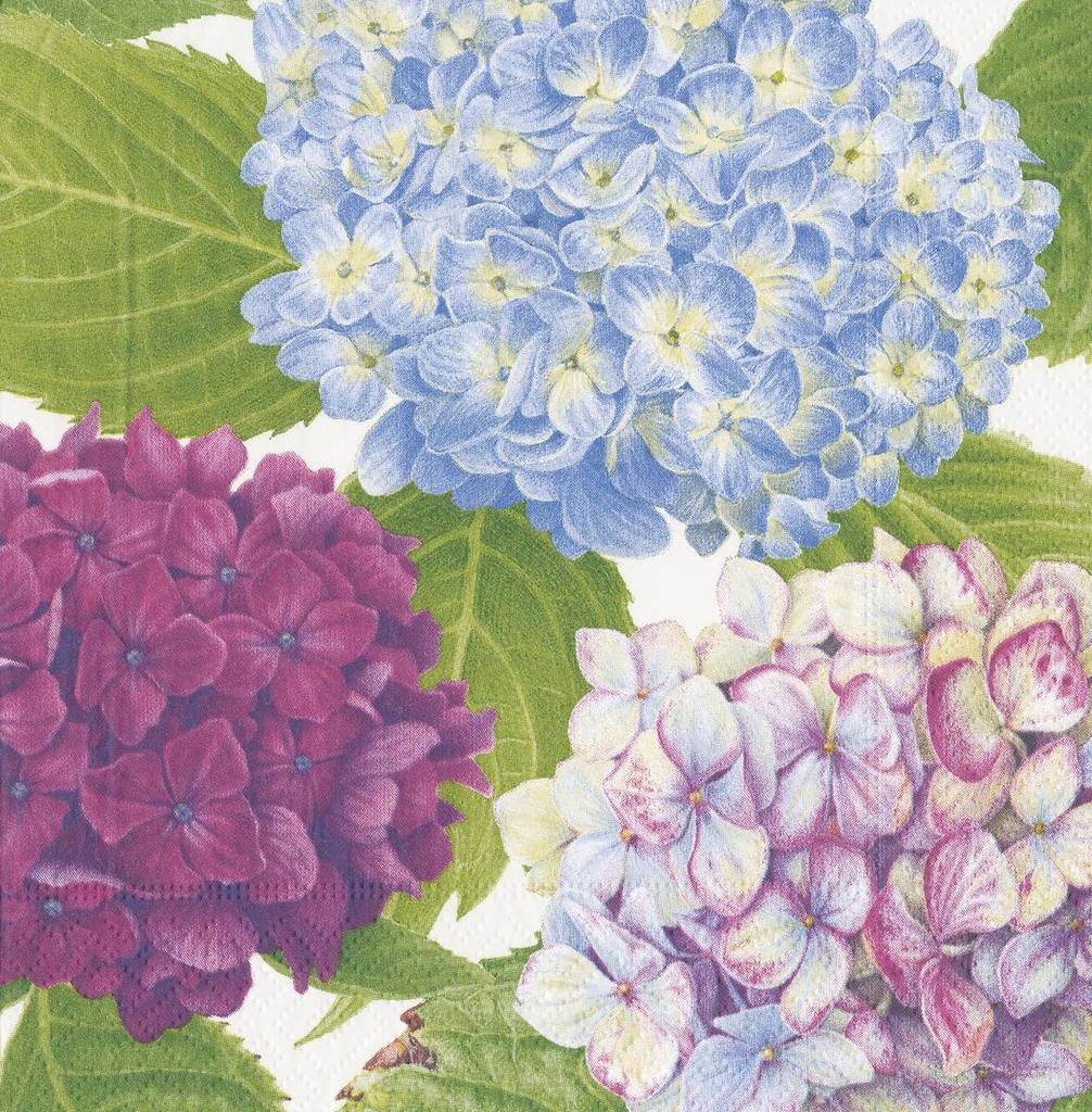 Serviettes Cocktail Hydrangea garden