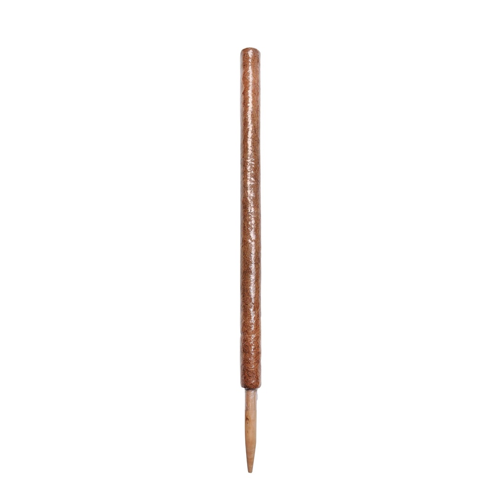 Tuteur Coco Pole 5x150cm