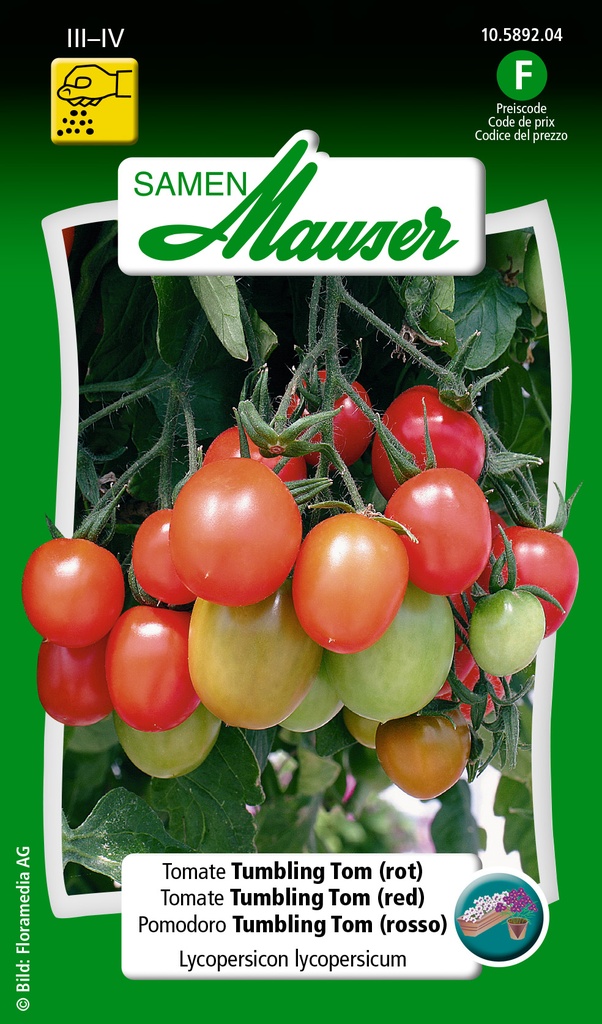 Tomate  thumbling ton (rouge)
