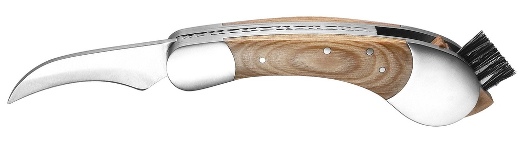 Brosse à champignons Porcino