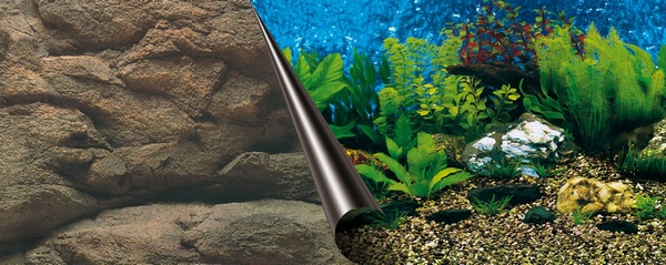 Poster fond d'aquarium Sea? 60x30cm