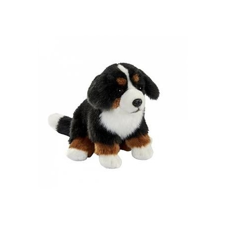 Bouvier Bernois Assis 30cmL