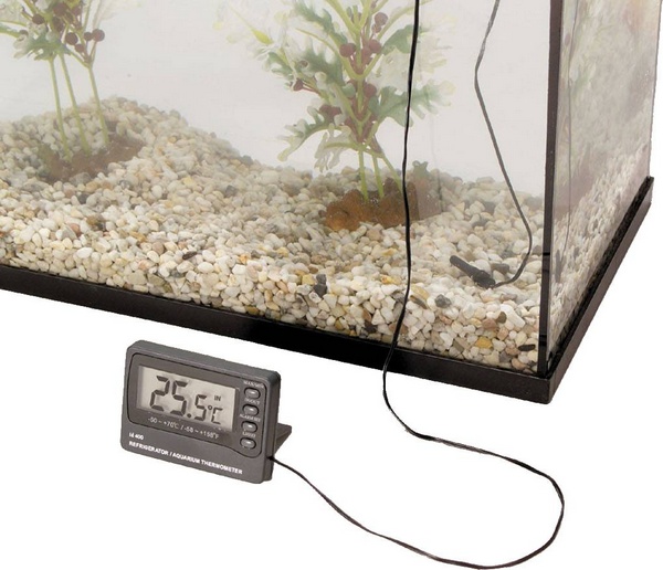 Thermomètre digit.?? 1xAAA/AM4 1.5V