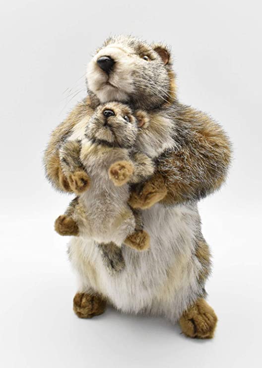 Marmotte avec Bébé