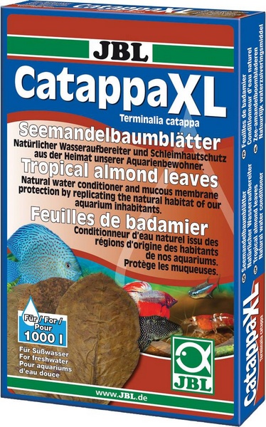 JBL Catappa XL ca 24cm 10 feuilles