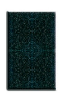 Masse de filtration éponge pour  Niagara 190