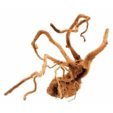 Bois red wood 60-70 cm