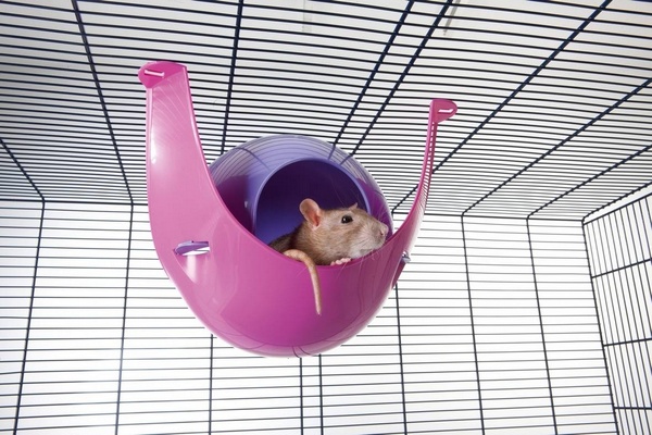 Maison Rongeur Sputnik  XL  29 x 26 x 19 cm