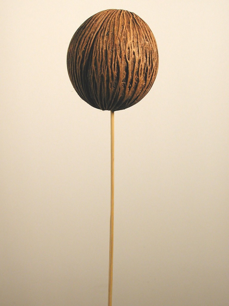 Minoltaball anggestielt natur