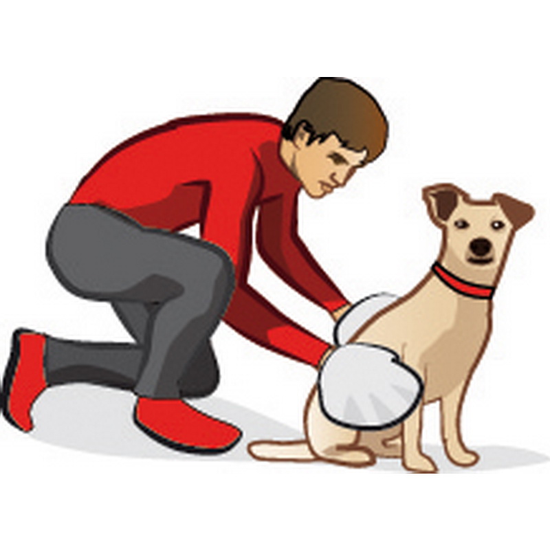 Gant de nettoyage humide Cleany