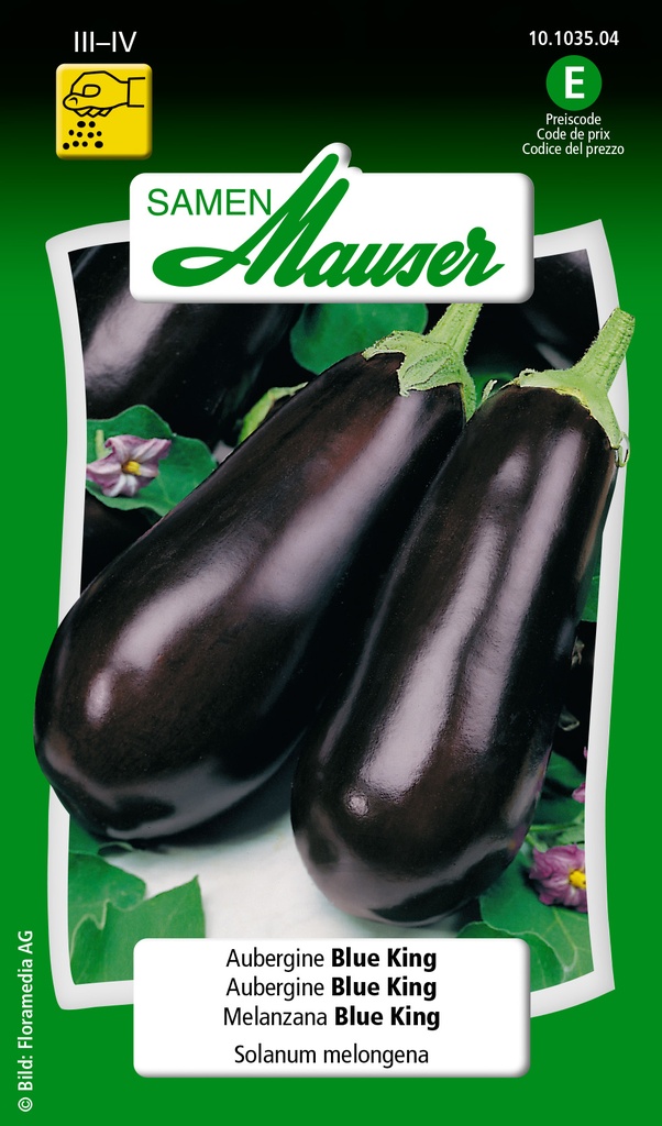 Aubergine roi bleu