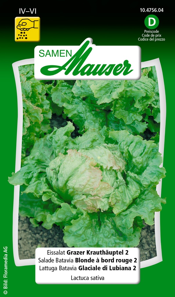 Batavia blonde à bord rouge