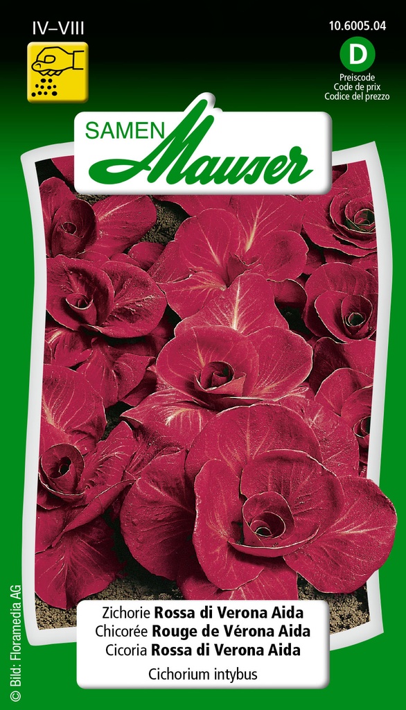 Chicoree rouge de verone aida