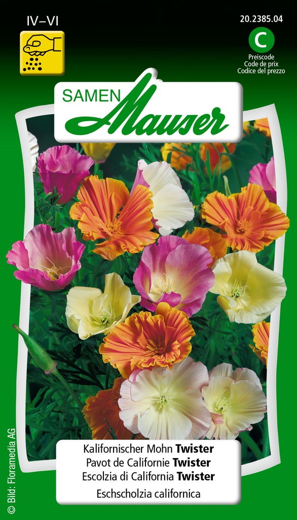 Esschscholzia californica twister