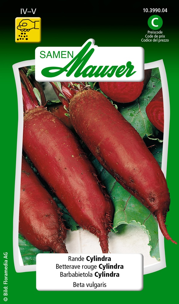 Betterave à salade cylindre