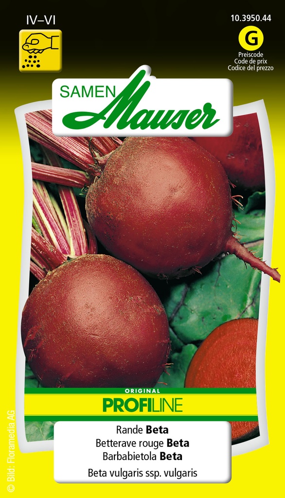 Betterave Selma-beta