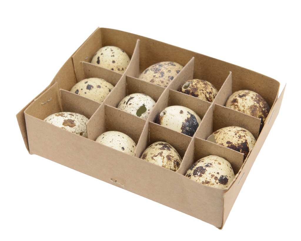 Oeufs de cailles en boites 12pcs