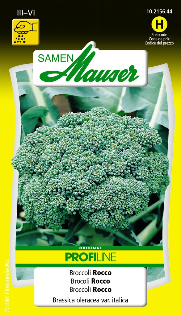 Brocoli Selma-Rocco